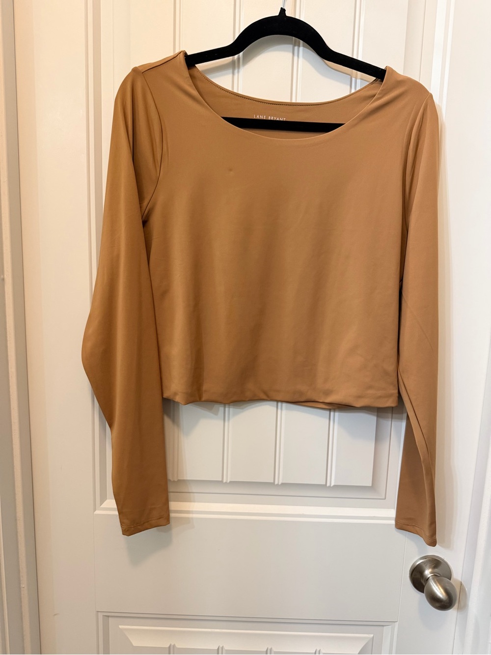 Lane Bryant Long-Sleeve Cropped Scoop Neck Top in Camel Brown